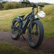 cat-01-259×300 cat-01-259x300